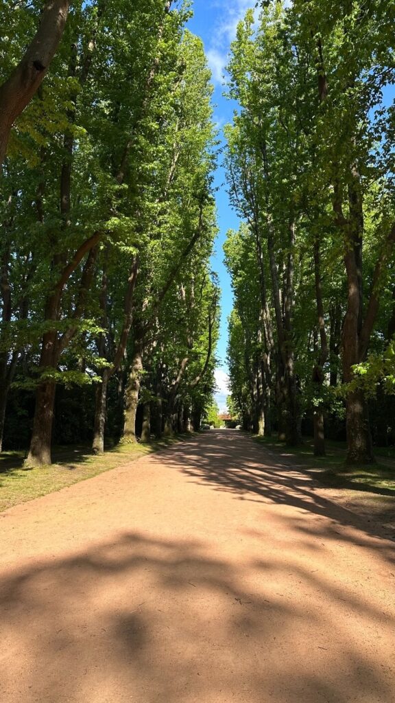 המוזיאון לאמנות מודרנית בפורטו - Serralves Museum 
