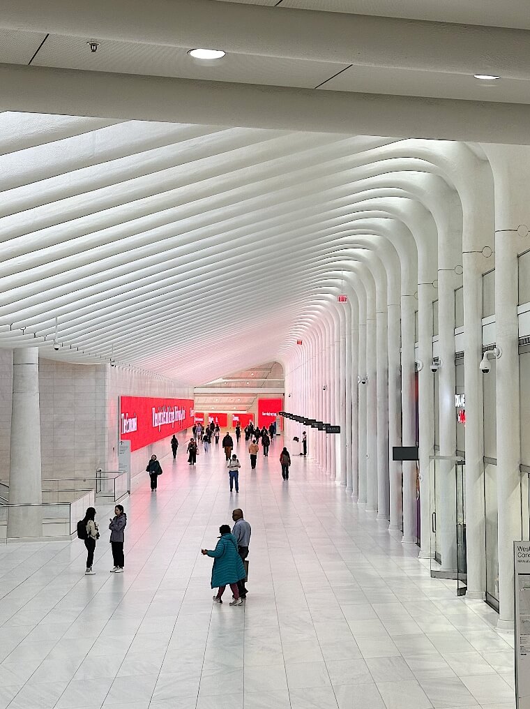 The Oculus
