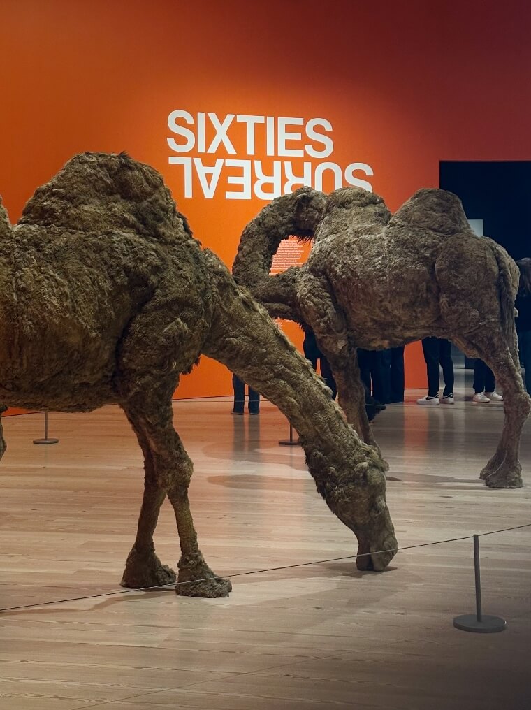 מוזיאון וויטני (Whitney Museum)