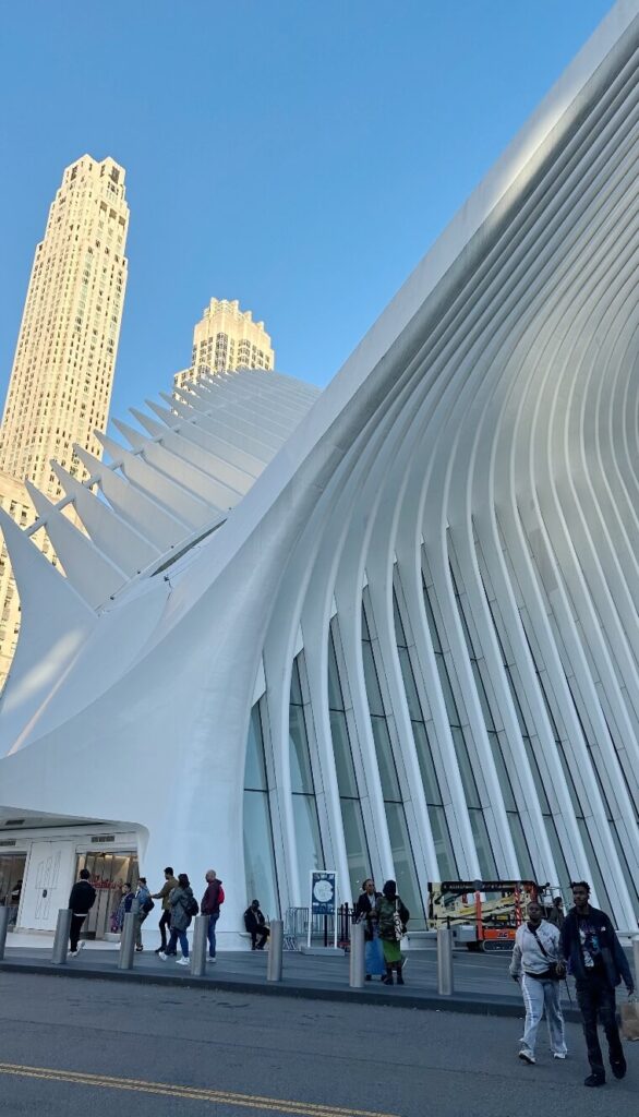 The Oculus