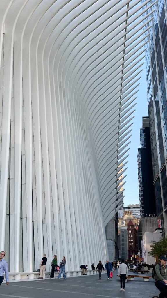 The Oculus