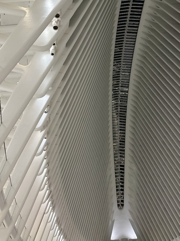 The Oculus